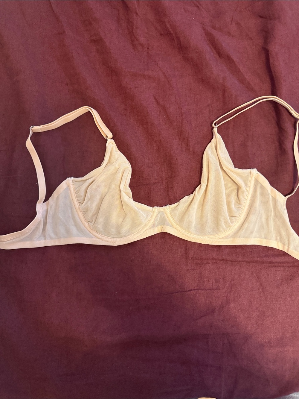 Urban Outfitters Sheer Underwire Bralette in Light Beige